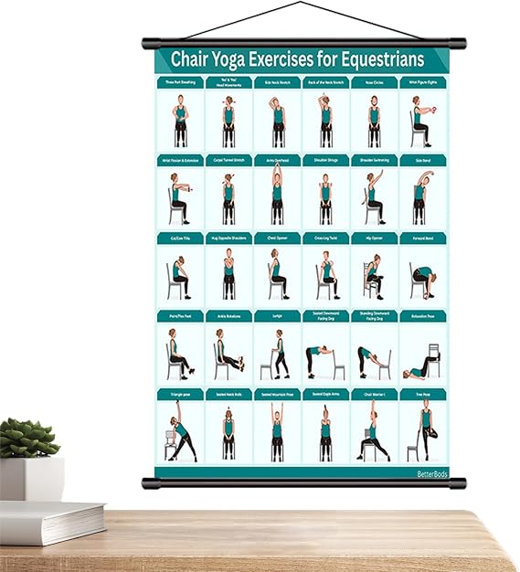 Furtryvl Chair Yoga Poster - Foldable Beginner Friendly | Home Chair Exercise Guide Wall Chart - for Office Living Room Bedroom Fitness Stretching Mobility Workout