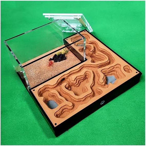 Ant Farm Classic Ant Farm Acrylic Plaster Castle Flat Hill Habitat Feeding Area Workshop Nest Science Learning Kit