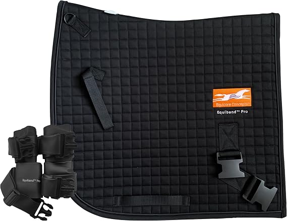 Equicore Concepts Complete System, Regular Size, Full Horse