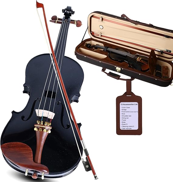 Black Violin 4/4 Full Size Complete Set for Adults Teenagers Students,Solid Maple Wood Violins with Rosewood Fittings,Case,Spare strings,Bow,Rosin,Shoulder Rest,Professional Violin for 11+years Gift