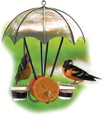 Woodlink Brushed Copper Oriole Feeder, Model COPWLO2