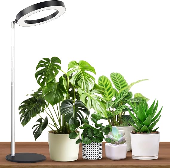Desktop Grow Light, Full Spectrum Halo Plant Light with 24H Auto Timer, Height Adjustable Small Grow Lamp with 10 Brightness & 3 Light Modes, USB Powered Grow Light for Indoor Plants, Succulents,Black