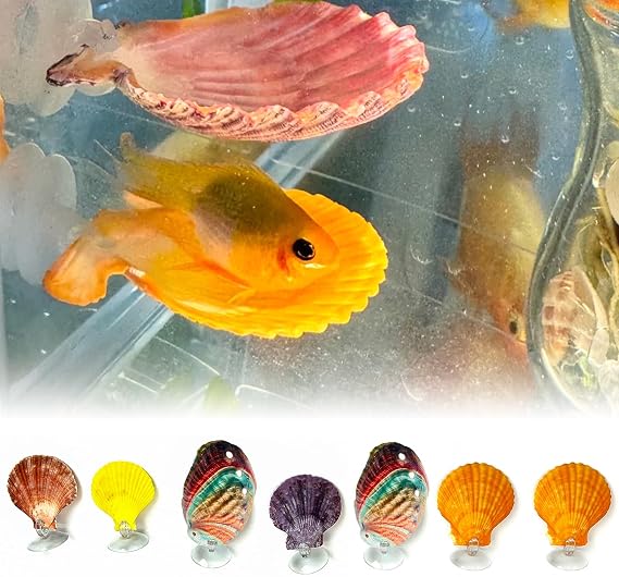 7 Pack Seashells Betta Bed,Betta Resting Spot,Betta Hammock with Suction Cups,Fish Tank Accessories,Small Fish Natural Spawning Grounds Breeding,Fish Tank Aquariums Decorations