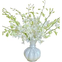 20 Stems White Orchids Fresh Cut Flowers Gift Birthday anniversary Valentine's Day Flowers Dendrobium