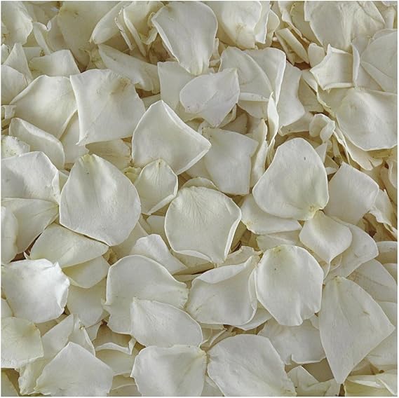 Eco-Friendly Real Rose Petals Ivory, 15 Cups Freeze-Dried & Biodegradable for Weddings, Toss, Aisles & Spa Made in USA