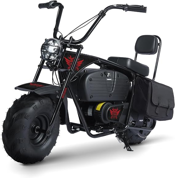 Oryxearth Electric Mini Dirt Bike, 36V Battery, 1000W Motor Electrical Powered Motorcycle, 2 Speeds-15.5MPH/22 MPH, 2 Hanging Bags, Endurance 60 Mins, Up to 185lbs, Dark Style - Red