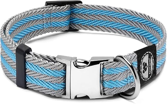 Regal Dog Products Small Pet Collar with Metal Buckle and D Ring Buckle | Durable Twill Dog Collars for Small Dogs | Dog Collars for Medium Dogs | Dog Collar for Large Dogs (Gray/Blue Stripe)