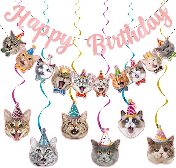 Cat Themed Birthday Party Decorations, Cat Birthday Decorations for Backdrop, Cute Cat Birthday Banner with 6 Hanging Swirls for Cats Birthday Decorations ,Pink