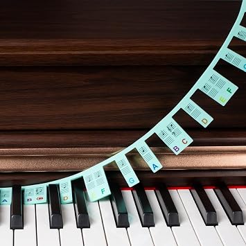 Removable Piano Key Stickers - 88 Key Glow-in-the-Dark Keyboard Labels for Beginners, Silicone Note Stickers with Storage Box (Green)