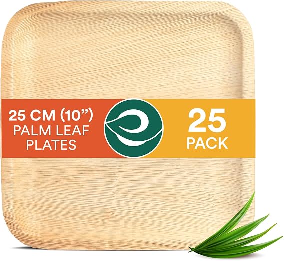 ECO SOUL 10 Inch Disposable Bamboo Plates (25 Pack, Square)