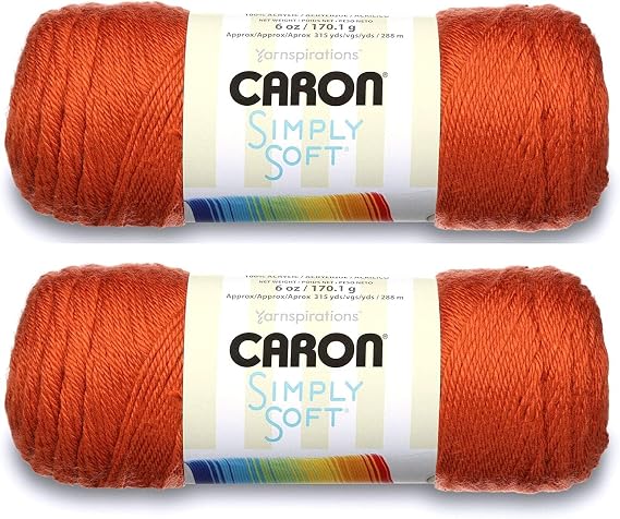Bulk Buy: Caron Simply Soft Yarn Solids (2-Pack) (Pumpkin)