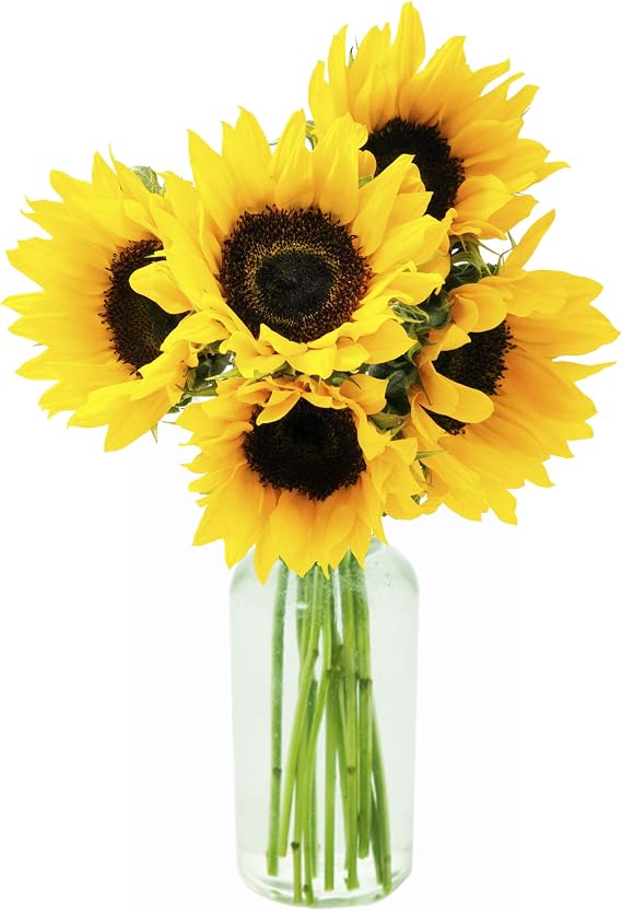 KaBloom-5 Sunflower Bouquet, Flowers for Valentine, Mother's Day