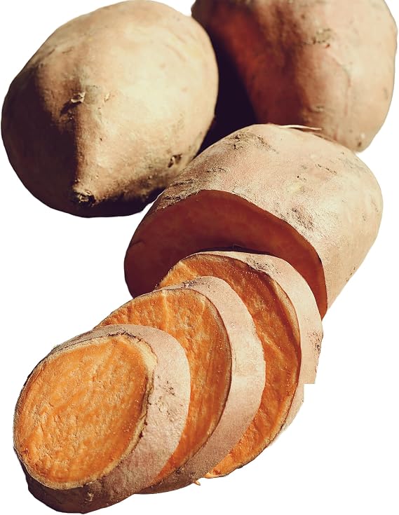 Beauregard Seed Sweet Potatoes Non GMO for Planting or Cooking, New Crop 1 lb