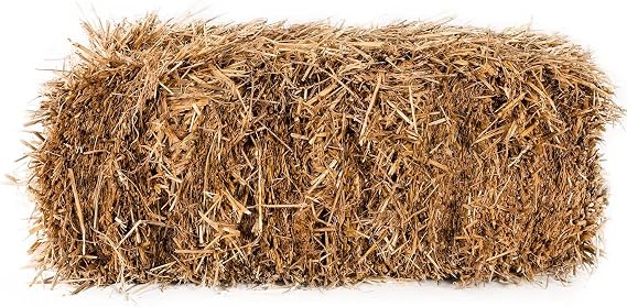 Peach Country Straw Bale for: Autumn Fall Decorations, Bedding, Over Seeding, (Bale Size 16"x11"x9")