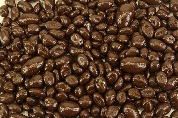 Planet Sweets Sugar Free Dark Chocolate Bridge Mix - 8 Ounce - Raisins Almonds Peanuts Chocolate Covered Nuts Crunchy Snack Treat Bulk Candy