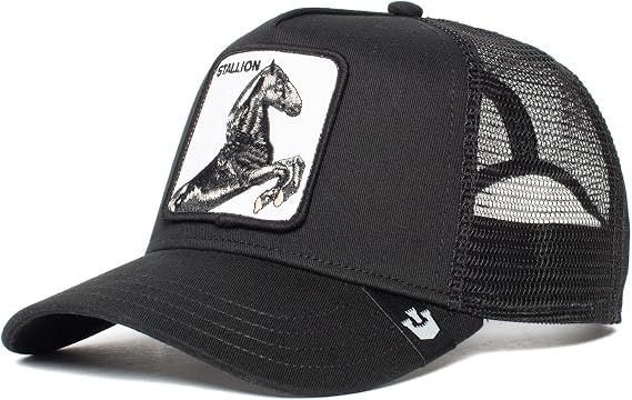 Goorin Brothers All American Men's Hat