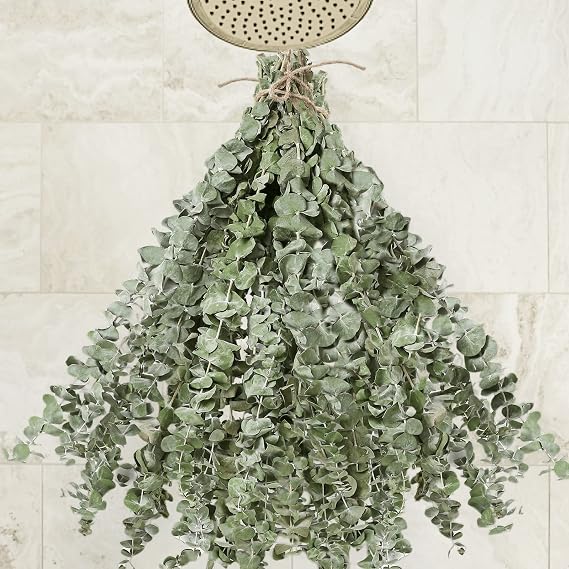 30 Pcs Dried Preserved Eucalyptus Stems Shower Bundle, 9oz 17" 100% Natural Fresh Eucalyptus Plant, Real Eucalyptus Leaves Branches for Shower Vase Filler, Dried Flowers Arrangement Home Decor (30)