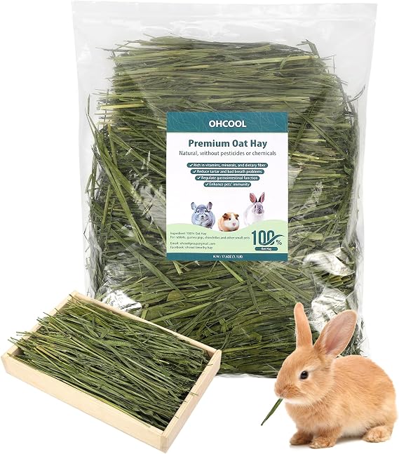 Premium Oat Hay, 1.1LB Small Pet Feed | Premium dust free natural green oat hay, suitable for rabbits, guinea pigs, chinchillas, hamsters, gerbils