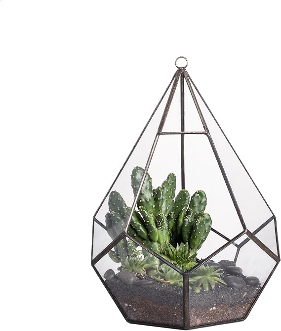 NCYP Hanging Glass Geometric Terrarium for Succulent - 6.8" x 6.8" x 8.6" Indoor Teardrop Shape Plants Planter, Tabletop Decorative Centerpiece, Black Container, Opening, Handmade (No Plants)