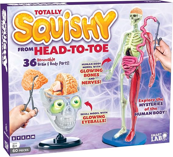SMARTLAB Toys Totally Squishy from Head-to-Toe - 60 Pieces - 36 Removable Parts - 12" Human Body Model & Stand - 24-Page Illustrated Book - Includes Glowing Eyeballs!