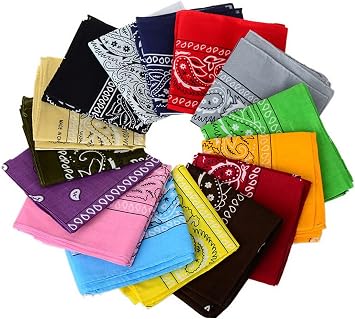 One Dozen/12pcs Assorted Bandanas 22X22 Inch 100% Cotton Novelty Double Sided Print Paisley Cowboy Bandana Party Favor Scarf Headband Handkerchiefs