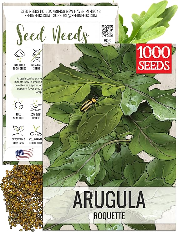 Seed Needs Arugula Seeds to Plant Heirloom Non-GMO Herbs Indoors 1 Pack