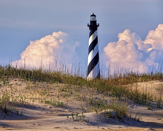 Cape Hatteras Lighthouse On The Dunes Cotton Fabric Panel David Textiles GL 0065, Green