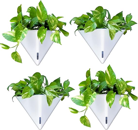LaLaGreen Wall Planters for Indoor Plants (12in, 4 Pack) Hanging Planter