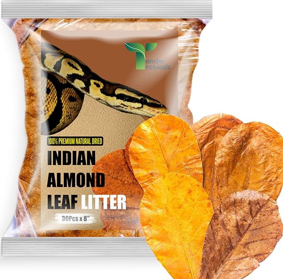 Leaf Litter for Snakes 30 Pcs Indian Almond Catappa Leaves 8" for Reptile Tanks, Corn Snake & Ball Python, Natural Bioactive Vivarium Substrate, Terrarium Bedding & Habitat Decor