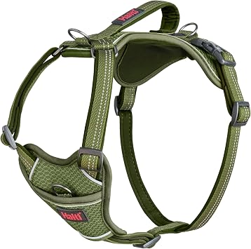 Halti Anatomy Dog Harness with Handle - Padded, Adjustable & Reflective No Pull Dog Harness, 3 Leash Attachment Points Including Front Clip, Suitable for Medium Dogs (Size M, Green)
