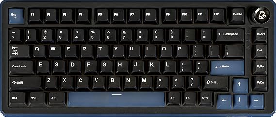 Ducky OK-M 75% Wireless Gaming Keyboard Black Compact US Layout DKOKM2583-KWUSPDCOCH2 KB0930