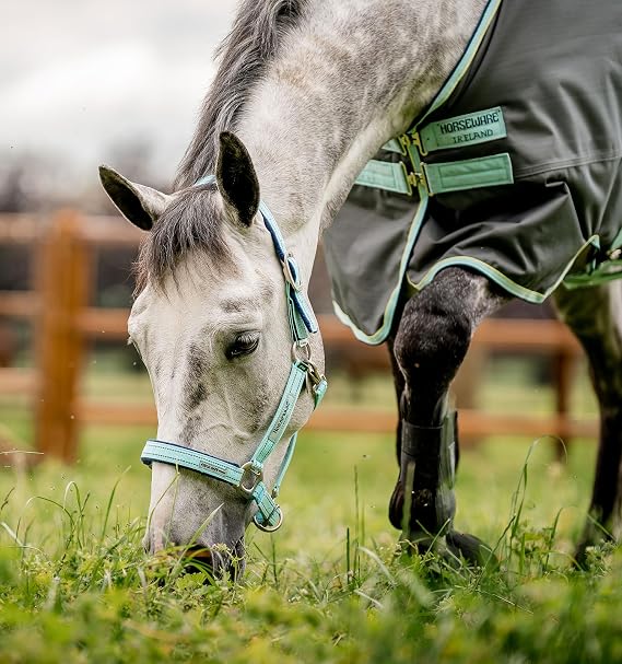 Horseware Fieldsafe Halter
