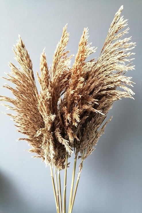 Kuru Çiçek Pampas 7 Adet 100 Cm Boy