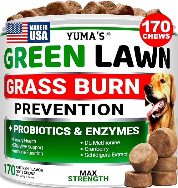 Dog Urine Neutralizer for Lawn - 170 Chews - Grass Green Saver Supplement