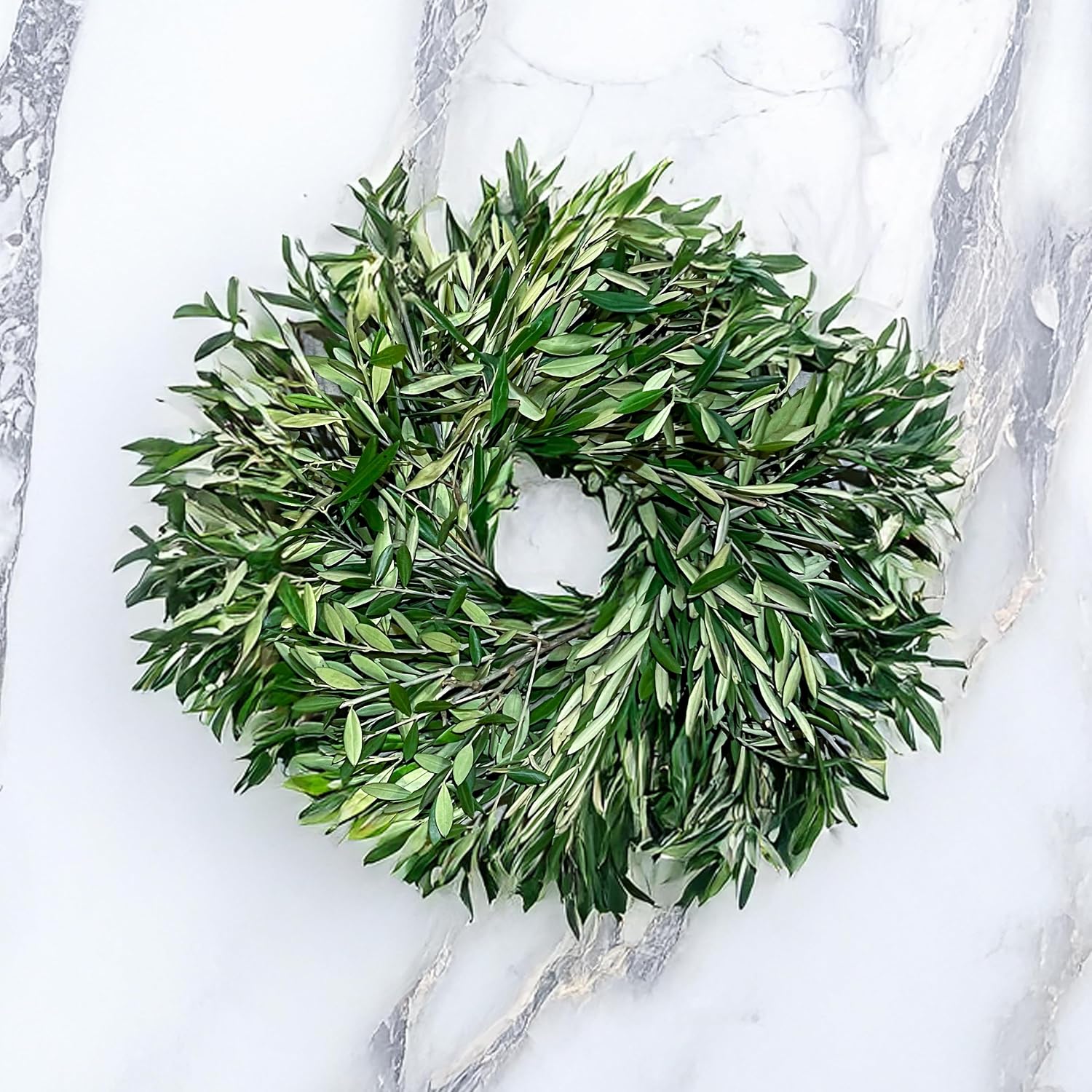 Live Olive Wreath Fresh Leaves 24 [Shipped Overnight from California] for Front Door Natural Wreath for Indoor Outdoor Farmhouse Festival Home Decor
