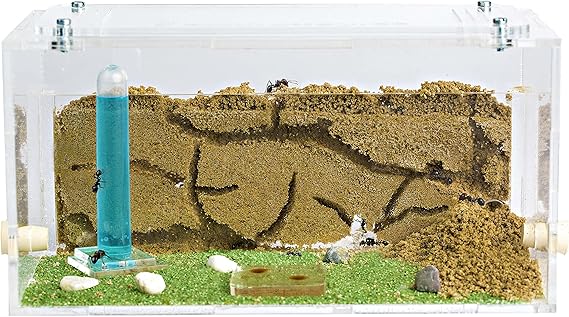 - Natural Sand Ant Farm - Acrylic Starter Kit 20x10x10 cm - Sand, Pipette, and Water Dispenser Included - Easy Installation