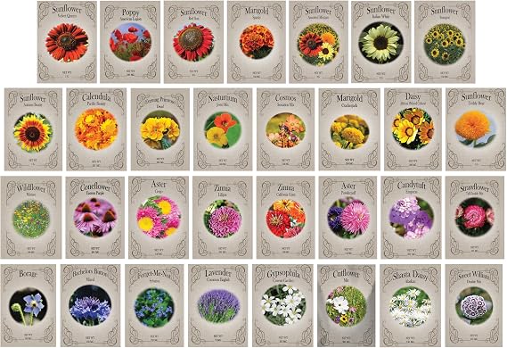 Set of 31 Premium Variety Flower Seed Packets - Heirloom Non-GMO and Proudly Sourced in The USA (31)