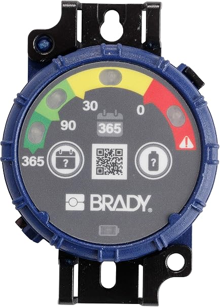 Brady Inspection Timer with LED Lights 365 Days Pack of 10 Each