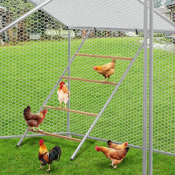 Chicken Perch for Coop, Chicken Roosting Bars for Backyard Poultry Farm, Roost Bars for Hen Coop Accessories, Easy Installation