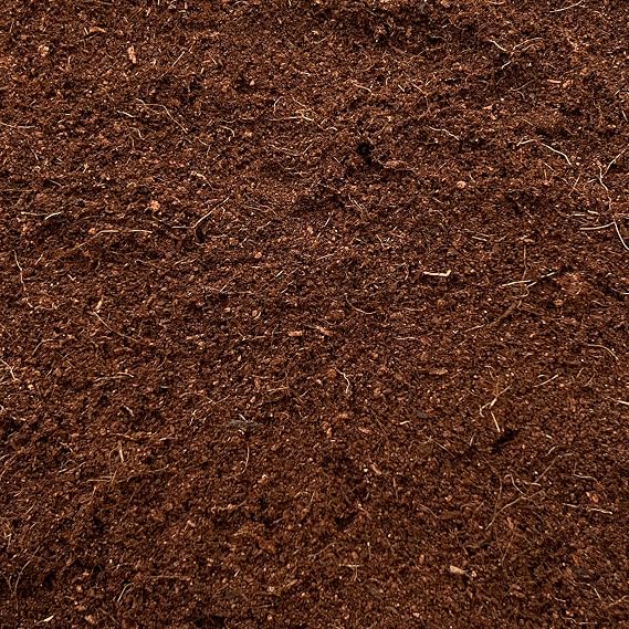 Coco Coir Washed & Buffered | Premium Organic Growing Medium | pH Balanced and Ready-to-Use | Ideal for Indoor and Outdoor Plants | (2L)